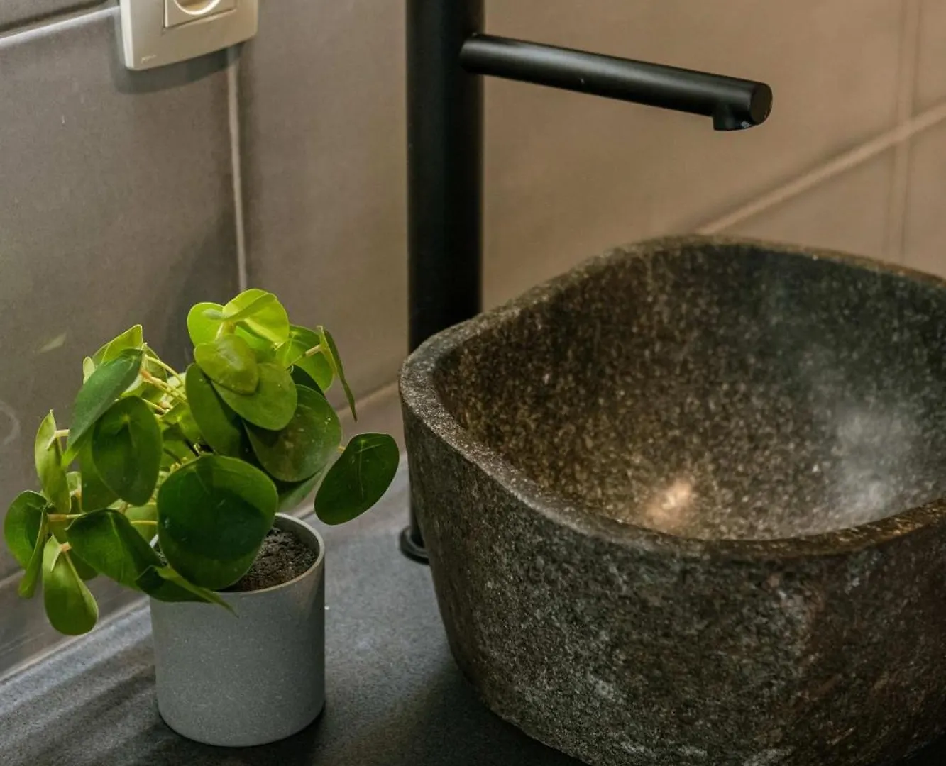 Huswell - Cozy Apartment In Antwerps Shopping District, Pets